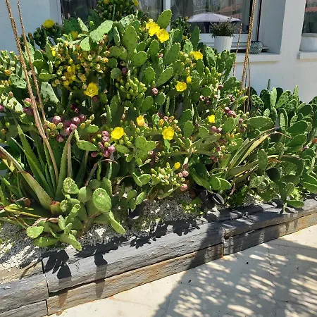 Apartment Zure Ondoan - Et Piscine Chauffée Tarnos