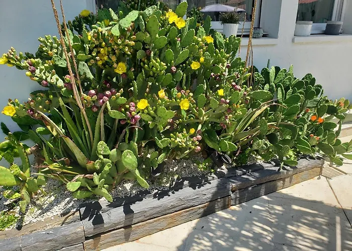 Apartment Zure Ondoan - Et Piscine Chauffee Tarnos